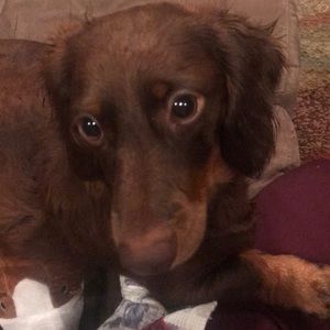 Meet your Posher, Melismelissa